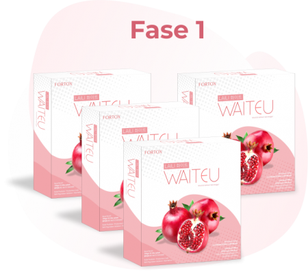 Anda membutuhkan 4 box WAITEU