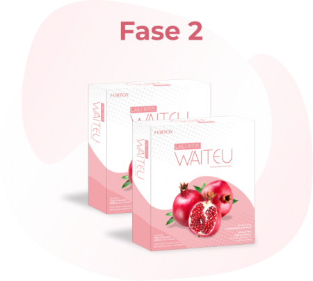 Anda membutuhkan 2 box WAITEU
